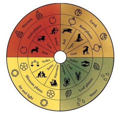 Calendario Biodinámico 2024 - María Thun - Blog de Nacho Blanco